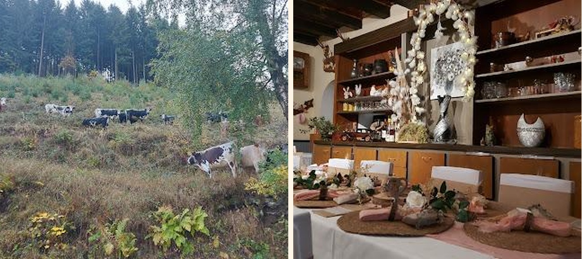 Auberge du Diefenbach - Gallery Image 1